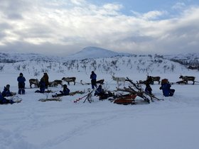 20170319_155339.jpg