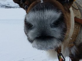 20170319_155650.jpg