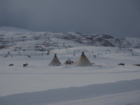 P3190352.JPG