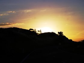 DSC_0369-small.jpg