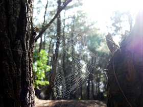 DSC_0567-small.jpg