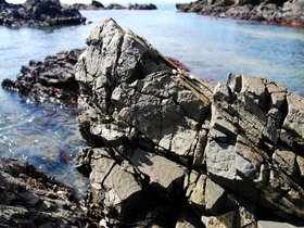DSC_0587-small.jpg