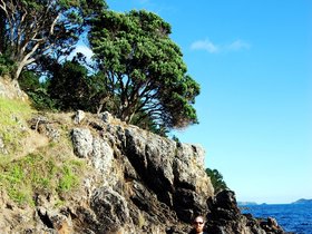 DSC_0639-small.jpg