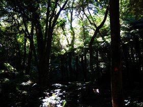 DSC_0712-small.jpg