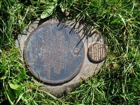 DSC_0096.jpg