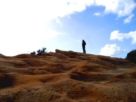 DSC_0144.jpg