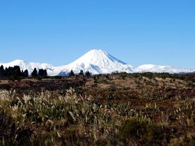 DSC_0027.jpg