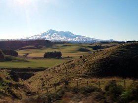 DSC_0031.jpg