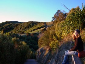 DSC_0141.jpg