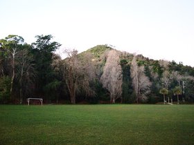 DSC_0151.jpg