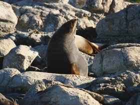 DSC_0254.jpg