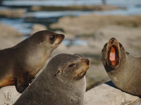 DSC_0263.jpg