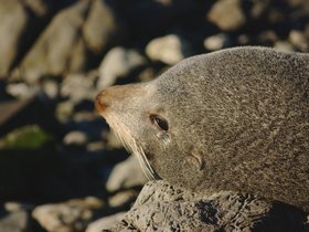 DSC_0276.jpg