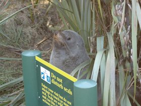 DSC_0280.jpg