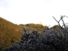 DSC_0320.jpg