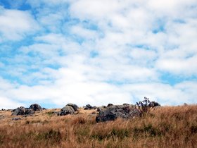 DSC_0073-small.jpg