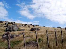 DSC_0095-small.jpg