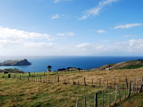 DSC_0124-small.jpg