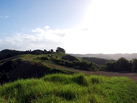 Waiheke