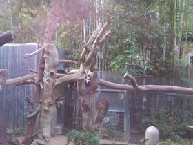 20141019_008.jpg