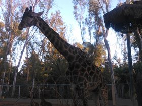 20141019_010.jpg