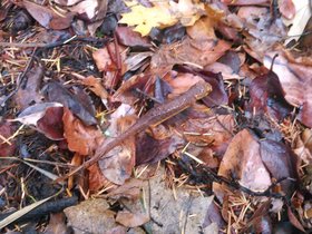 20141101_016.jpg